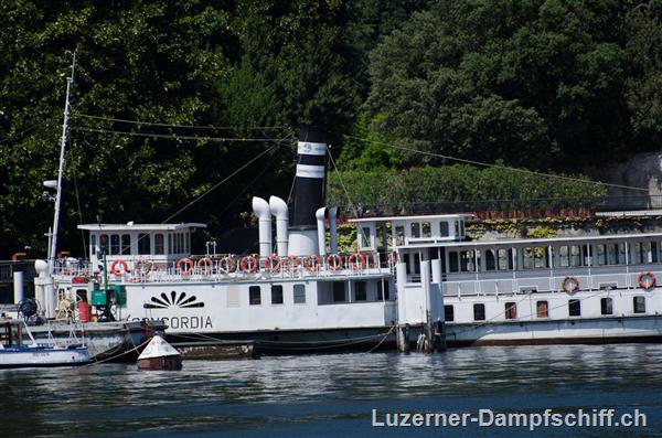 Picture: Comersee_DSC_6554.jpg
