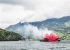 Eine Seerose blüht auf – Dampferparade auf dem Vierwaldstättersee