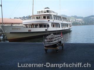 50_Jahre_MS_Schwyz_plus